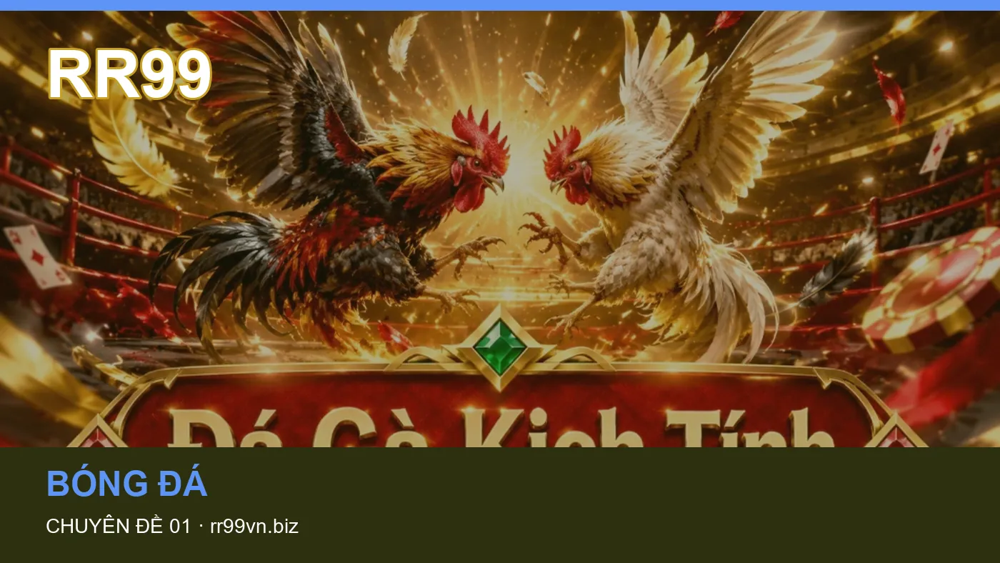 Hình minh họa bài viết RR99