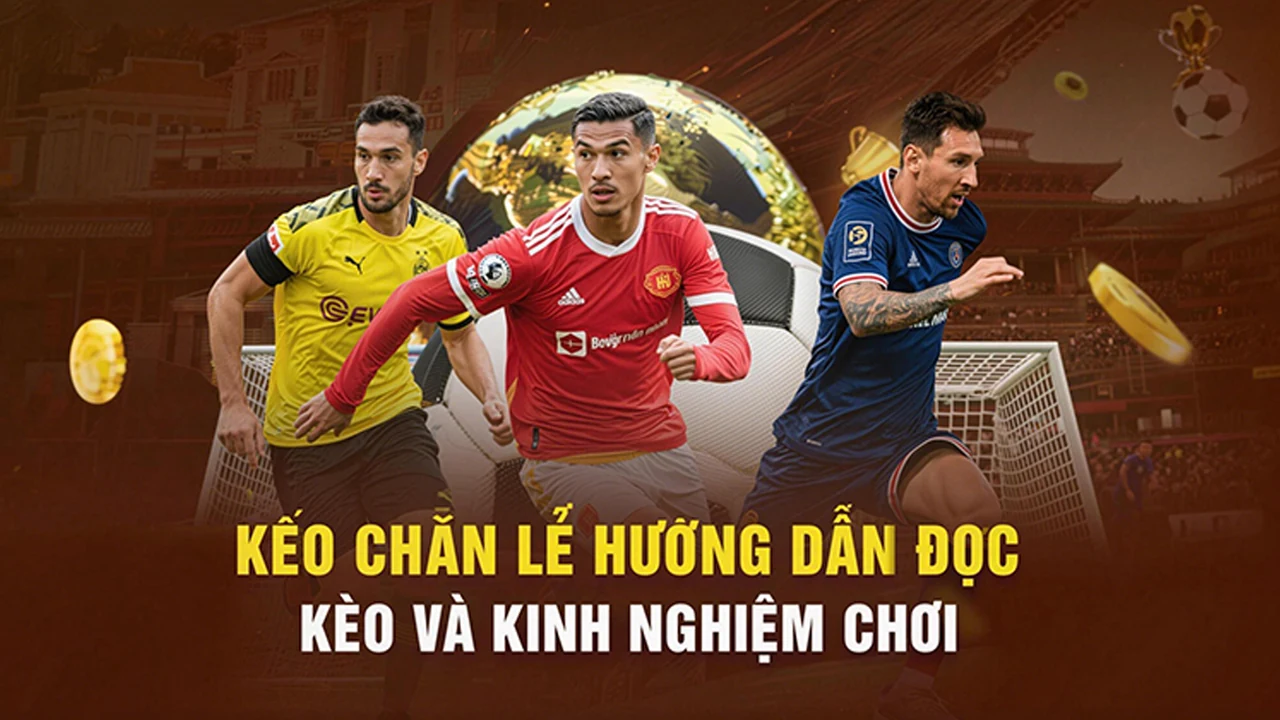 Thuật ngữ kèo trên RR99 – bước kiểm tra thực tế